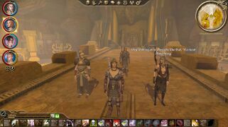 Dragon Age Origins